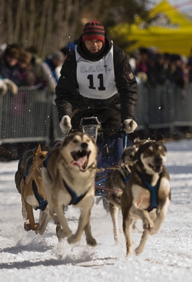 2009-03-14, Competition de traineaux a chiens au Bec-scie (112236).jpg - Au départ